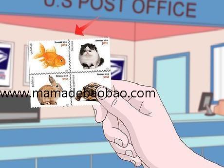 如何邮寄明信片: 6 步骤（买明信片和邮票）
